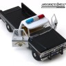 1:18 FORD F-100 Pick-up 